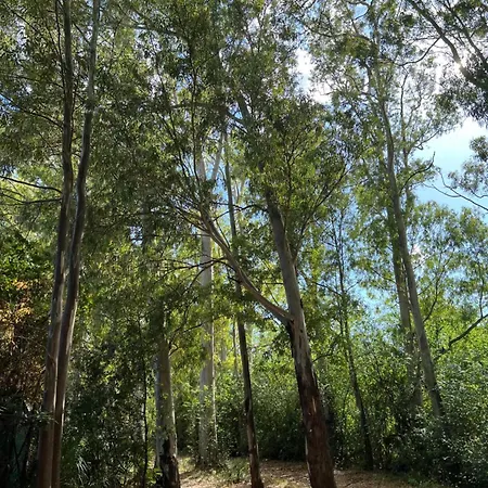 Rosa Mari Holiday home